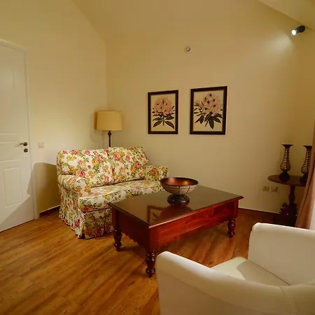 科里纳画廊酒店 酒店